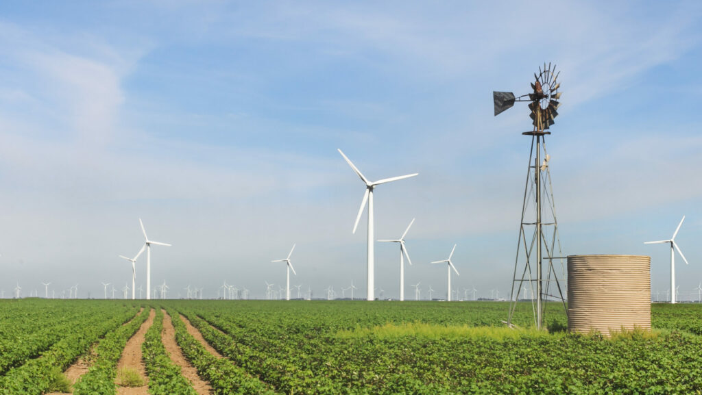A wind farm in West Texas.