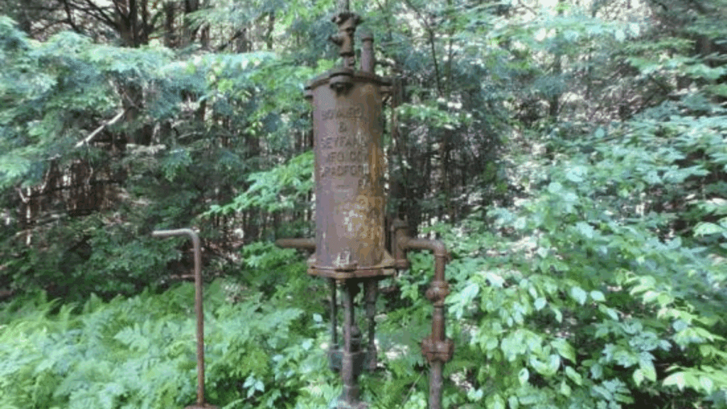 An orphaned well surrounded by forest foliage.