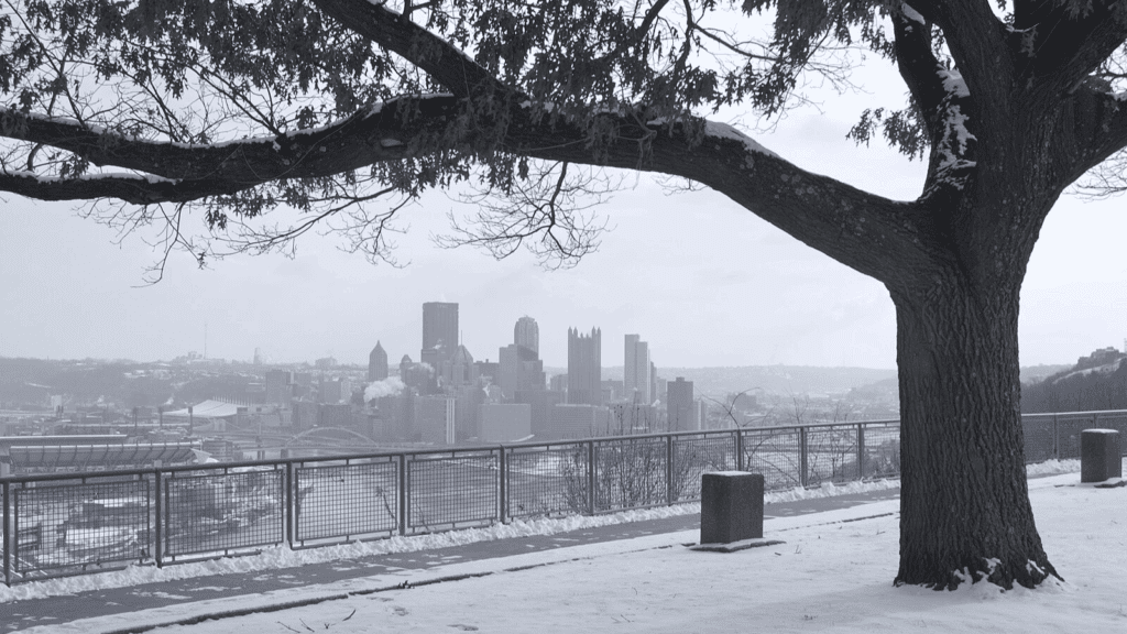 The Pittsburgh skyline clouded by snow.